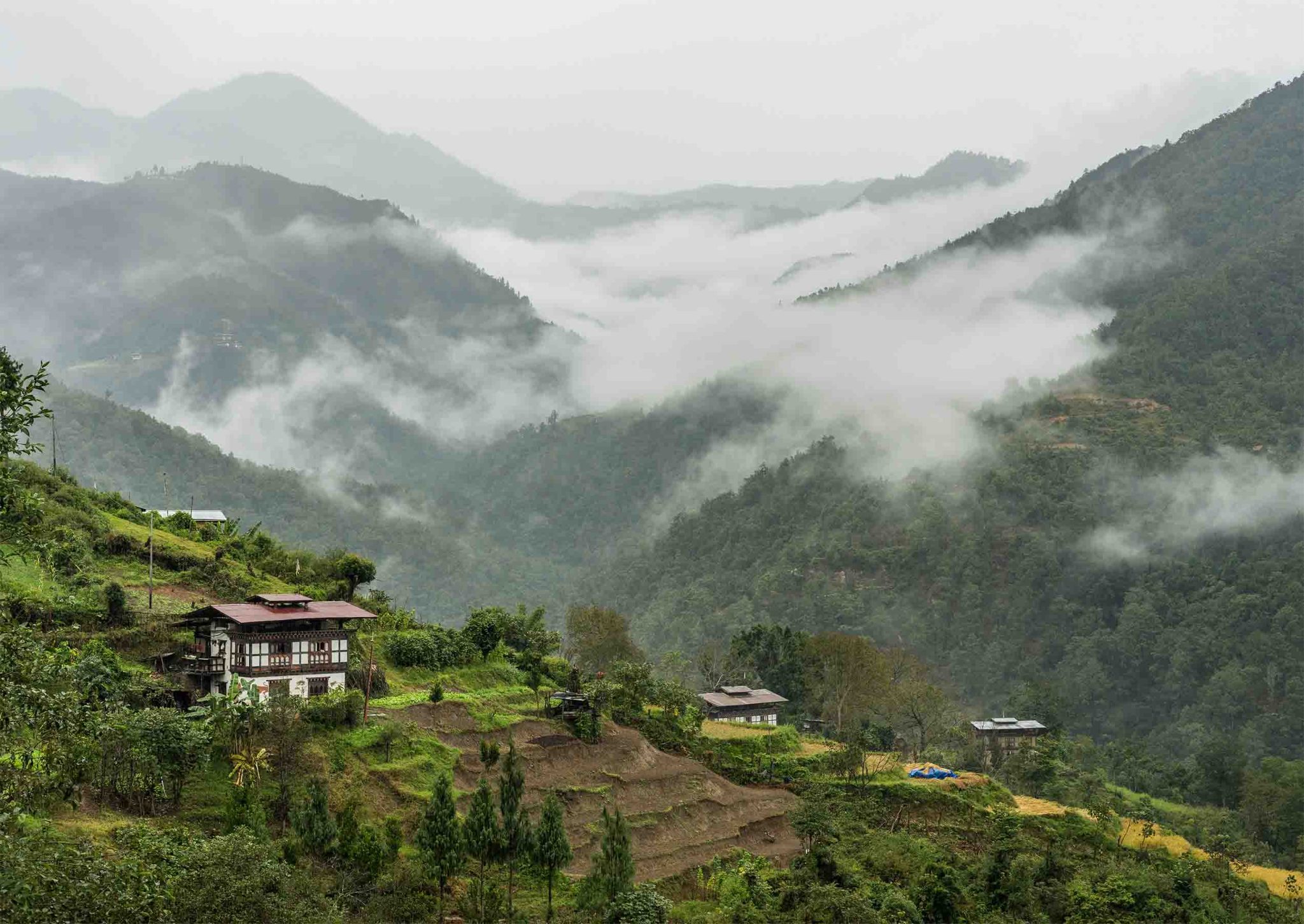 Gangtey Trek
