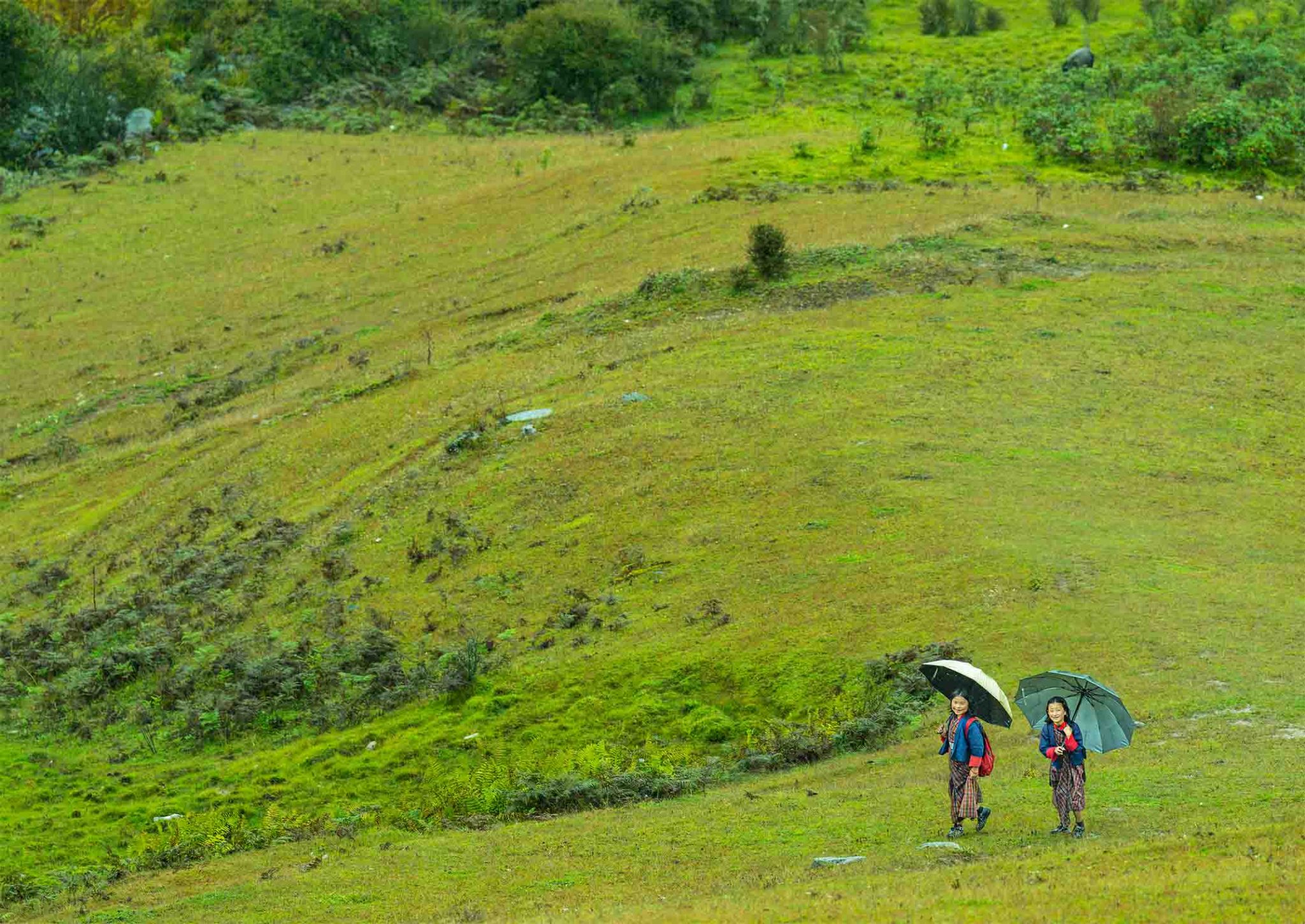 Samtengang Trek