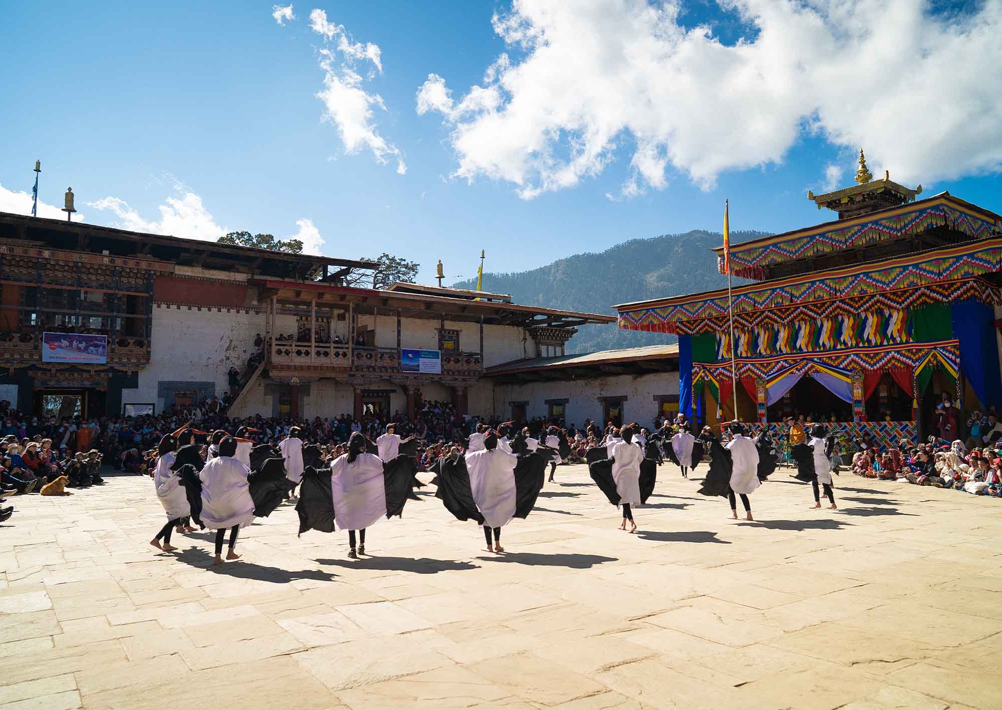Black Necked Crane Festival